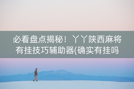 必看盘点揭秘！丫丫陕西麻将有挂技巧辅助器(确实有挂吗)