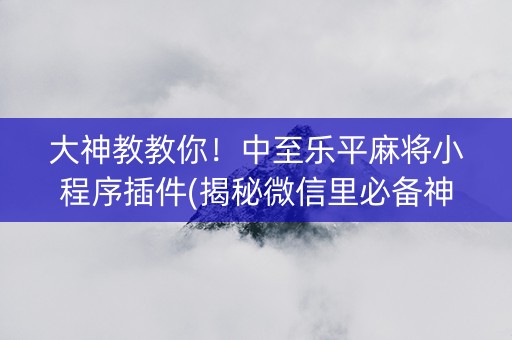 大神教教你！中至乐平麻将小程序插件(揭秘微信里必备神器)