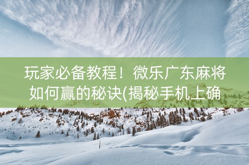 玩家必备教程！微乐广东麻将如何赢的秘诀(揭秘手机上确实有猫腻)