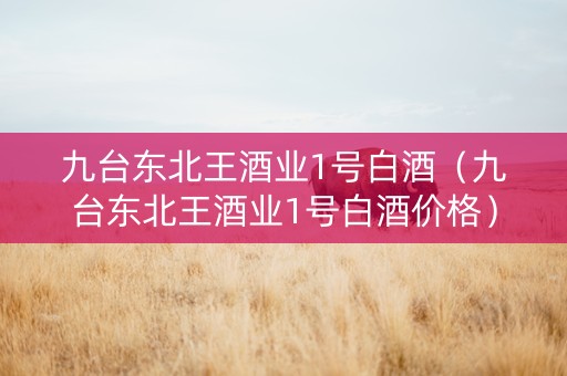 九台东北王酒业1号白酒（九台东北王酒业1号白酒价格）