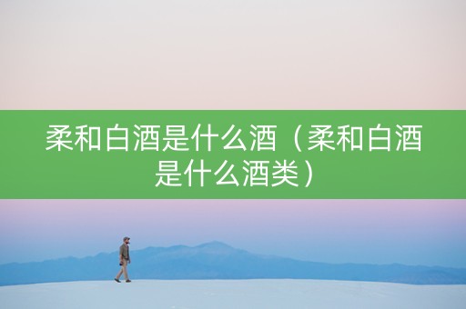柔和白酒是什么酒（柔和白酒是什么酒类）