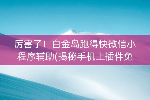厉害了！白金岛跑得快微信小程序辅助(揭秘手机上插件免费)