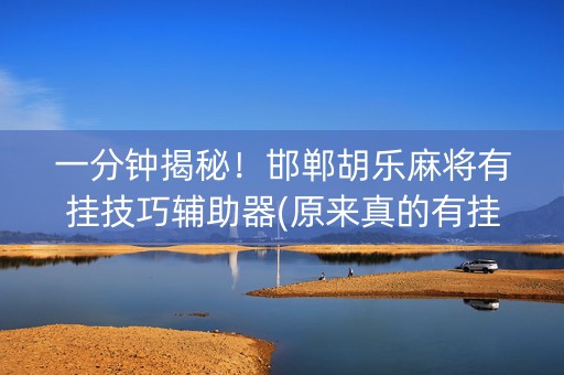 一分钟揭秘！邯郸胡乐麻将有挂技巧辅助器(原来真的有挂)