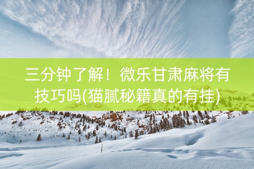 三分钟了解！微乐甘肃麻将有技巧吗(猫腻秘籍真的有挂)