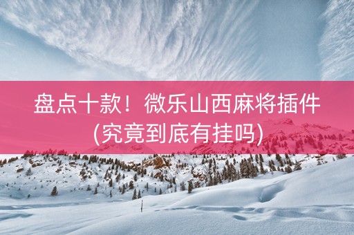 盘点十款！微乐山西麻将插件(究竟到底有挂吗)