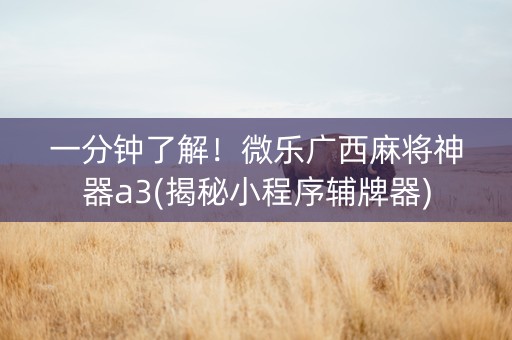 一分钟了解！微乐广西麻将神器a3(揭秘小程序辅牌器)