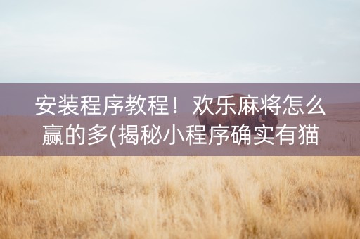 安装程序教程！欢乐麻将怎么赢的多(揭秘小程序确实有猫腻)