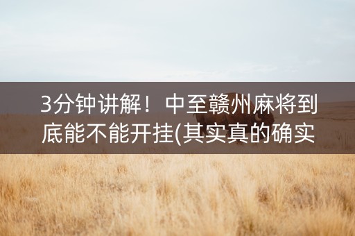 3分钟讲解！中至赣州麻将到底能不能开挂(其实真的确实有挂)