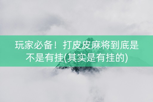 玩家必备！打皮皮麻将到底是不是有挂(其实是有挂的)
