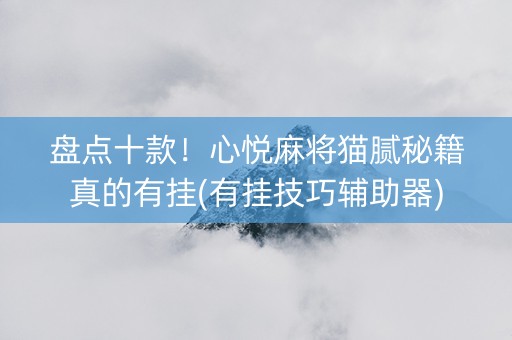 盘点十款！心悦麻将猫腻秘籍真的有挂(有挂技巧辅助器)