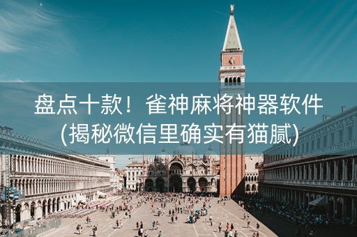 盘点十款！雀神麻将神器软件(揭秘微信里确实有猫腻)