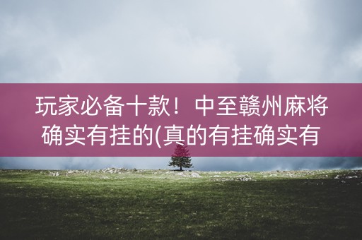 玩家必备十款！中至赣州麻将确实有挂的(真的有挂确实有挂)