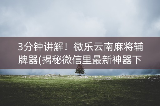3分钟讲解！微乐云南麻将辅牌器(揭秘微信里最新神器下载)