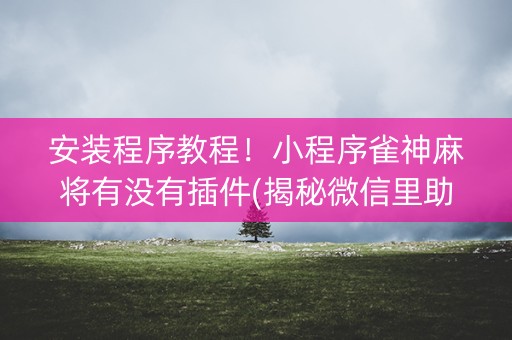 安装程序教程！小程序雀神麻将有没有插件(揭秘微信里助赢神器购买)