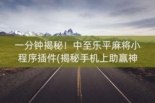 一分钟揭秘！中至乐平麻将小程序插件(揭秘手机上助赢神器购买)