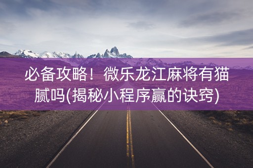 必备攻略！微乐龙江麻将有猫腻吗(揭秘小程序赢的诀窍)