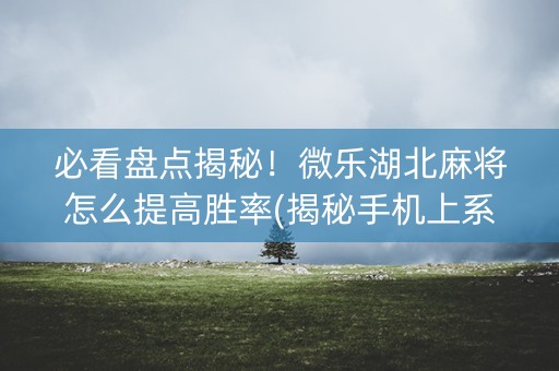 必看盘点揭秘！微乐湖北麻将怎么提高胜率(揭秘手机上系统发好牌)