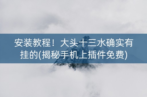 安装教程！大头十三水确实有挂的(揭秘手机上插件免费)