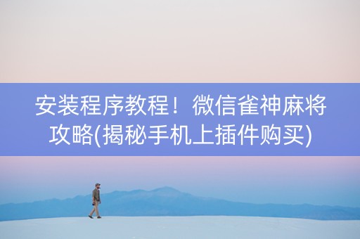 安装程序教程！微信雀神麻将攻略(揭秘手机上插件购买)