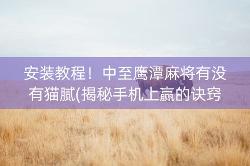 安装教程！中至鹰潭麻将有没有猫腻(揭秘手机上赢的诀窍)