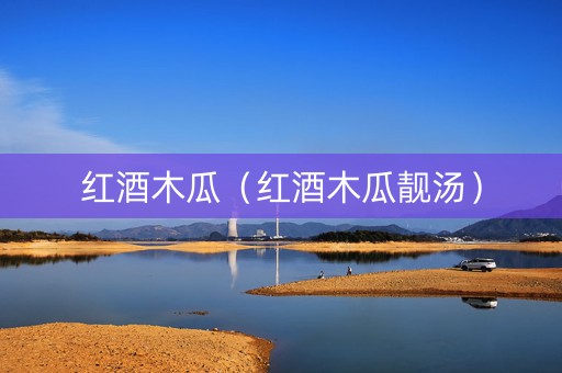 红酒木瓜（红酒木瓜靓汤）