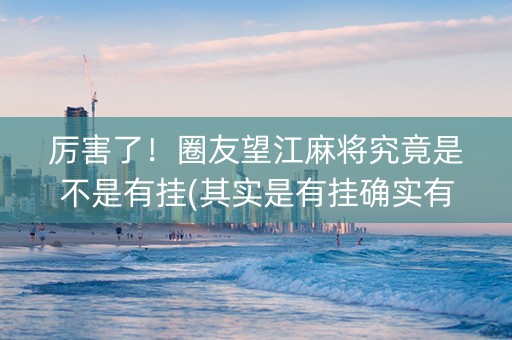 厉害了！圈友望江麻将究竟是不是有挂(其实是有挂确实有挂)