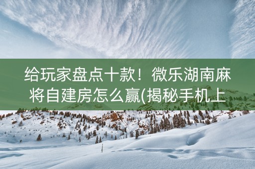 给玩家盘点十款！微乐湖南麻将自建房怎么赢(揭秘手机上插件下载)