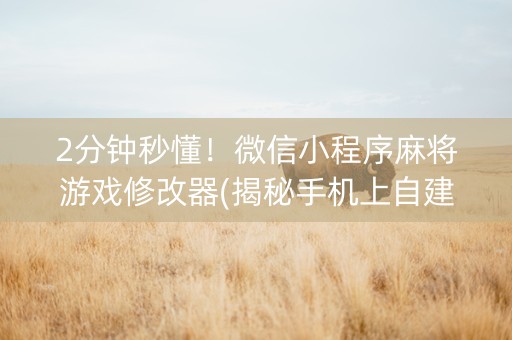 2分钟秒懂！微信小程序麻将游戏修改器(揭秘手机上自建房怎么赢)