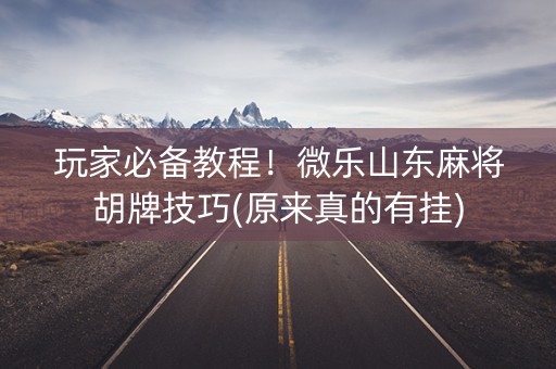 玩家必备教程！微乐山东麻将胡牌技巧(原来真的有挂)