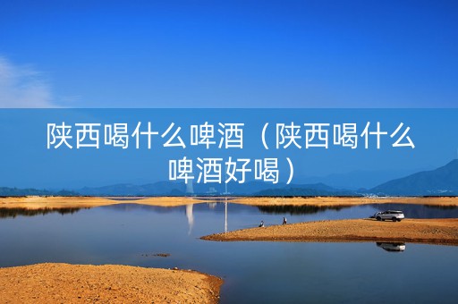 陕西喝什么啤酒（陕西喝什么啤酒好喝）