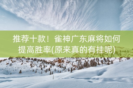 推荐十款！雀神广东麻将如何提高胜率(原来真的有挂呢)