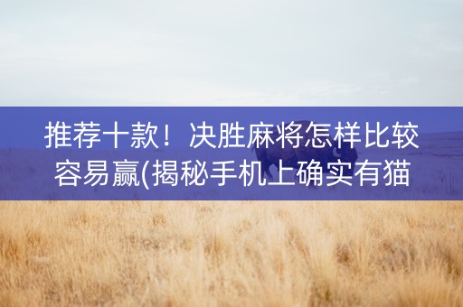 推荐十款！决胜麻将怎样比较容易赢(揭秘手机上确实有猫腻)