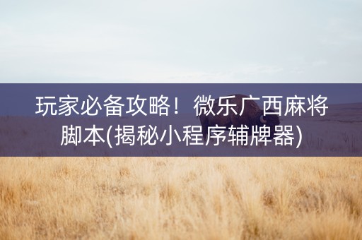 玩家必备攻略！微乐广西麻将脚本(揭秘小程序辅牌器)