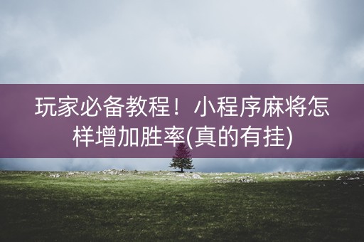 玩家必备教程！小程序麻将怎样增加胜率(真的有挂)