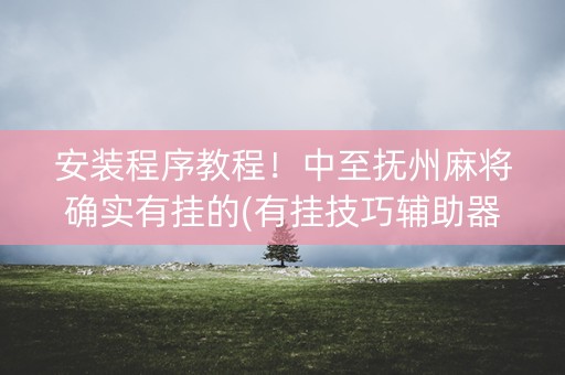 安装程序教程！中至抚州麻将确实有挂的(有挂技巧辅助器)