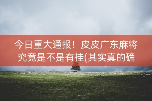 今日重大通报！皮皮广东麻将究竟是不是有挂(其实真的确实有挂)