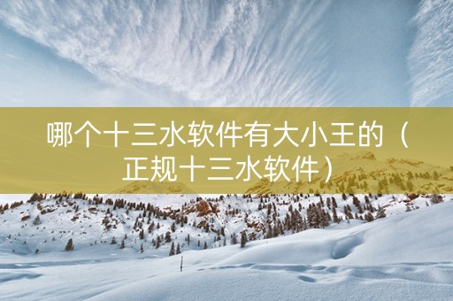 哪个十三水软件有大小王的（正规十三水软件）