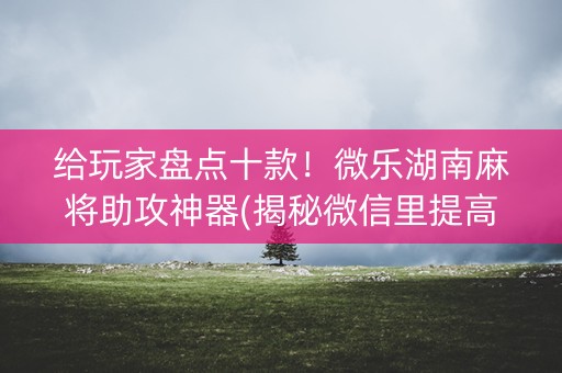 给玩家盘点十款！微乐湖南麻将助攻神器(揭秘微信里提高胜率)