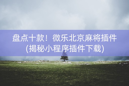 盘点十款！微乐北京麻将插件(揭秘小程序插件下载)