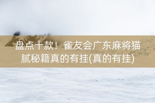 盘点十款！雀友会广东麻将猫腻秘籍真的有挂(真的有挂)