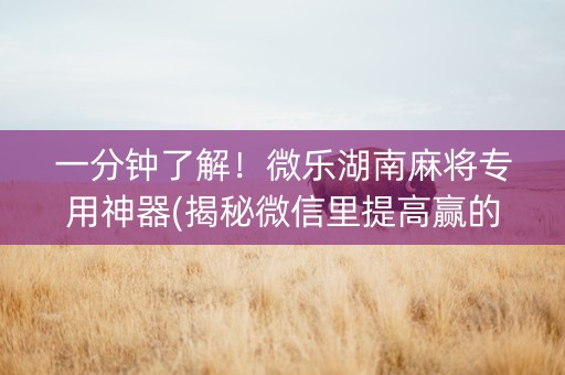 一分钟了解！微乐湖南麻将专用神器(揭秘微信里提高赢的概率)