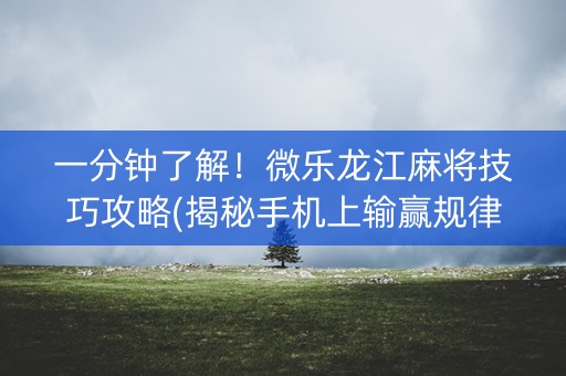 一分钟了解！微乐龙江麻将技巧攻略(揭秘手机上输赢规律)