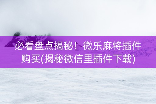 必看盘点揭秘！微乐麻将插件购买(揭秘微信里插件下载)