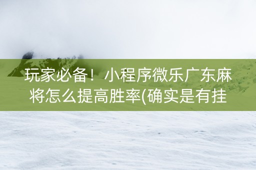 玩家必备！小程序微乐广东麻将怎么提高胜率(确实是有挂的)
