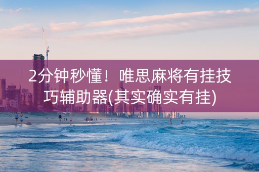 2分钟秒懂！唯思麻将有挂技巧辅助器(其实确实有挂)
