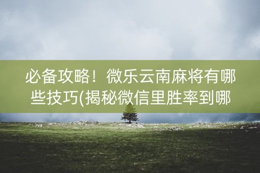 必备攻略！微乐云南麻将有哪些技巧(揭秘微信里胜率到哪调)