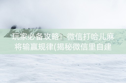 玩家必备攻略！微信打哈儿麻将输赢规律(揭秘微信里自建房怎么赢)