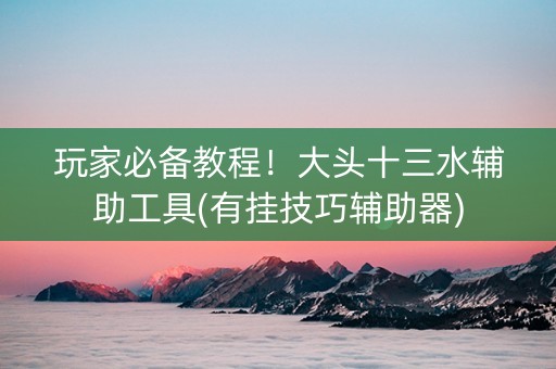 玩家必备教程！大头十三水辅助工具(有挂技巧辅助器)