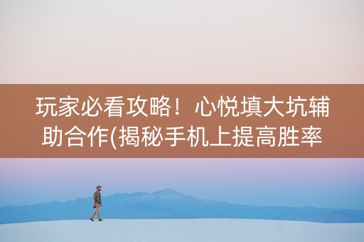 玩家必看攻略！心悦填大坑辅助合作(揭秘手机上提高胜率)