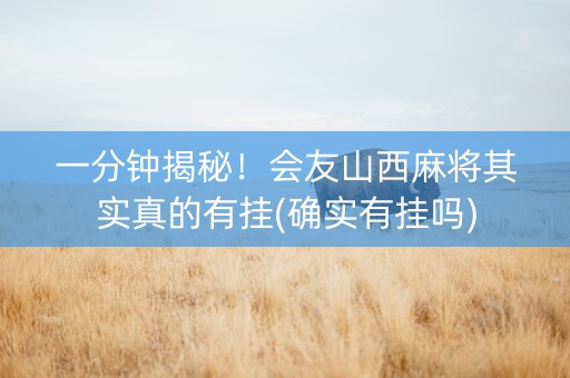 一分钟揭秘！会友山西麻将其实真的有挂(确实有挂吗)